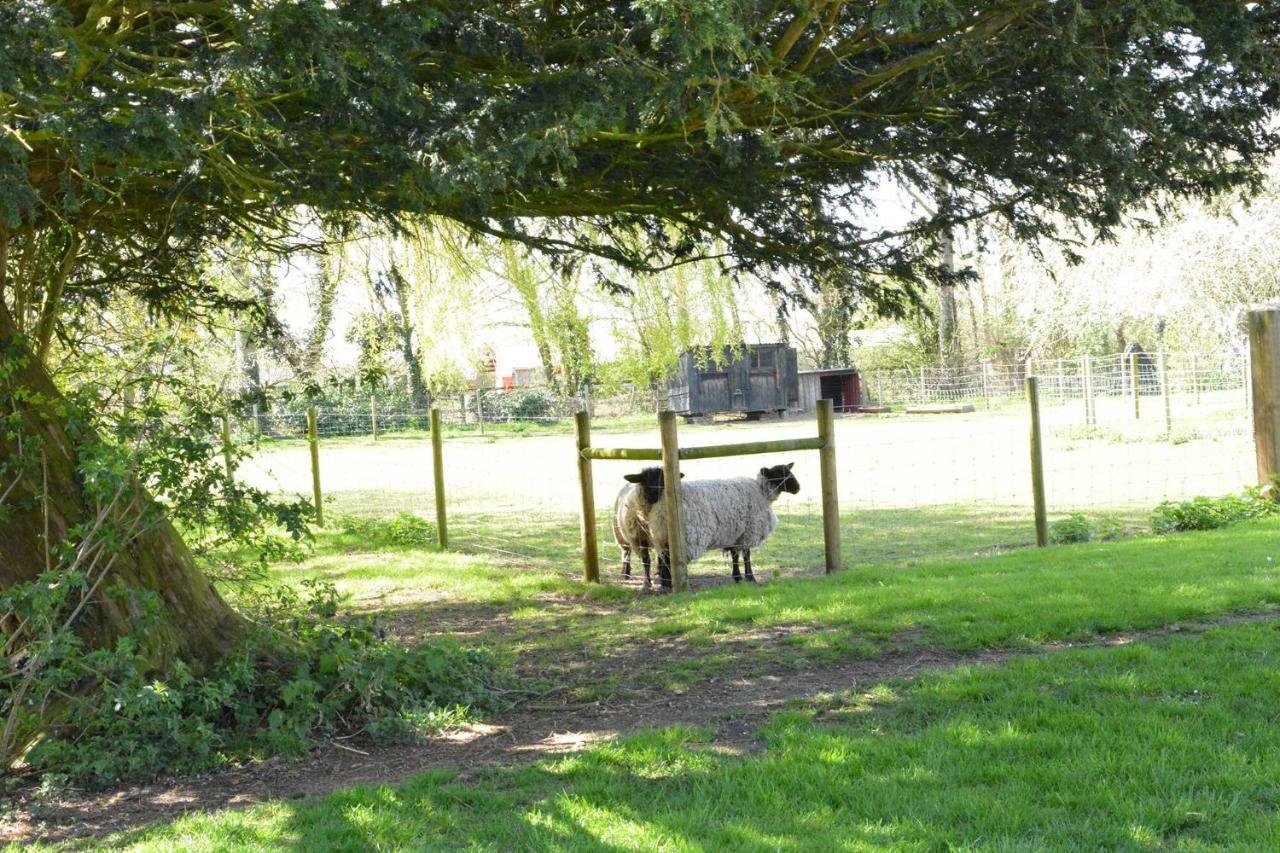 Yew Tree Farm Barn, Worlingworth别墅 外观 照片